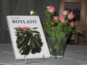 Pósa Károly : Botlató (2017.06.15.)